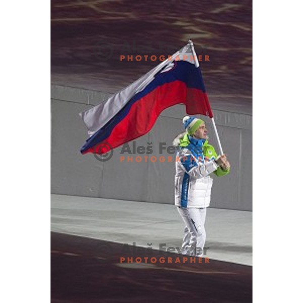 Tomaz Razingar, flag bearer of Slovenia during Opening Ceremony of XXII Winter Olympic games Sochi 2014 at Fisht Stadium, Russia on February 7, 2014