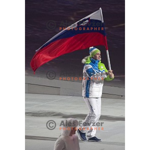 Tomaz Razingar, flag bearer of Slovenia during Opening Ceremony of XXII Winter Olympic games Sochi 2014 at Fisht Stadium, Russia on February 7, 2014