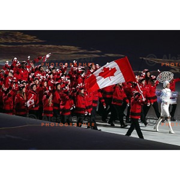 Opening Ceremony of XXII Winter Olympic games Sochi 2014 at Fisht Stadium, Russia on February 7, 2014