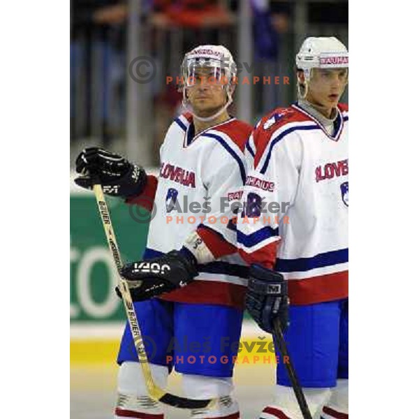 Gregor Poloncic of Slovenia Ice-Hockey team during World Championship group B in Ljubljana, Slovenia on April 2001