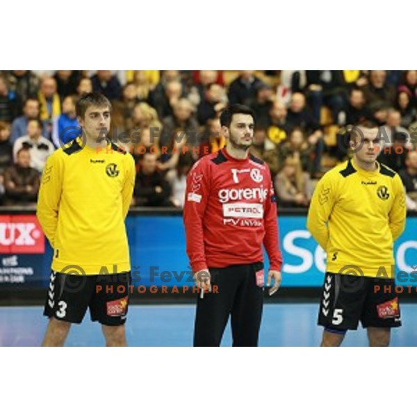 action during handball match Gorenje Velenje (SLO)-Hamburg (GER) in EHF Champions league, played in Red Hall, Velenje, Slovenia on February 5, 2014