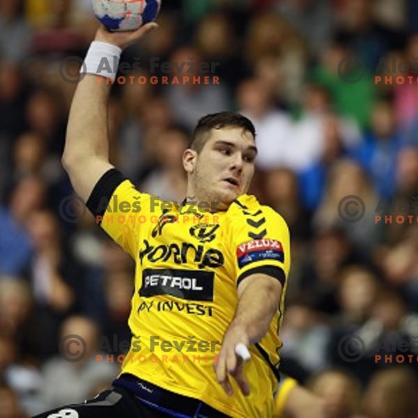 Kristian Beciri of Gorenje Velenje during handball match Gorenje Velenje (SLO)-Hamburg (GER) in EHF Champions league, played in Red Hall, Velenje, Slovenia on February 5, 2014