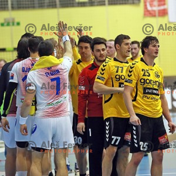 action during handball match Gorenje Velenje (SLO)-Hamburg (GER) in EHF Champions league, played in Red Hall, Velenje, Slovenia on February 5, 2014