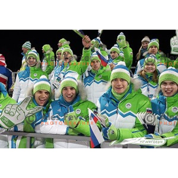 Members of Slovenia Ice-Hockey team celebrate silver medal in Ski jumping on Normal Hill at Sochi 2014 Winter Olympic Games in RusSki Gorki Jumping Center on February 9, 2014