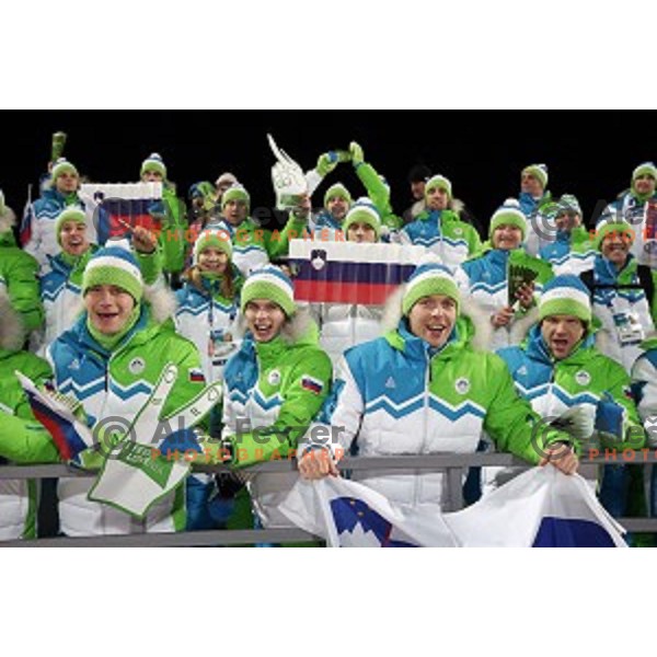 Members of Slovenia Ice-Hockey team celebrate silver medal in Ski jumping on Normal Hill at Sochi 2014 Winter Olympic Games in RusSki Gorki Jumping Center on February 9, 2014