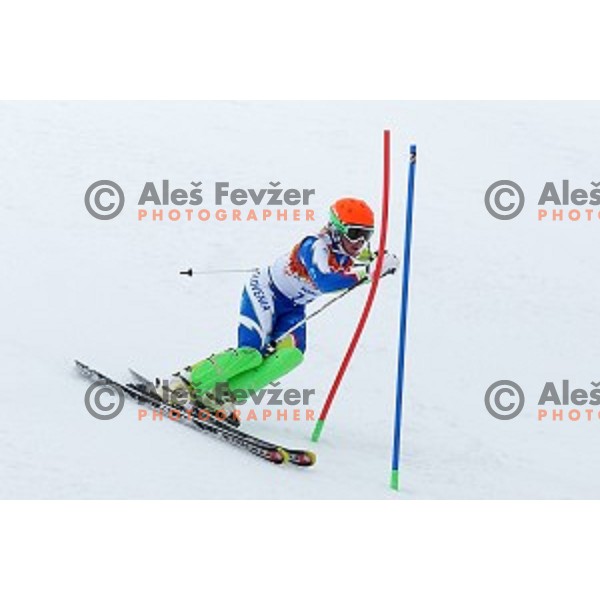 Marusa Ferk of Slovenia racing at Ladies Super Combined at Rosa Khutor Alpine Center , Sochi 2014 Winter Olympic Games on February 10, 2014