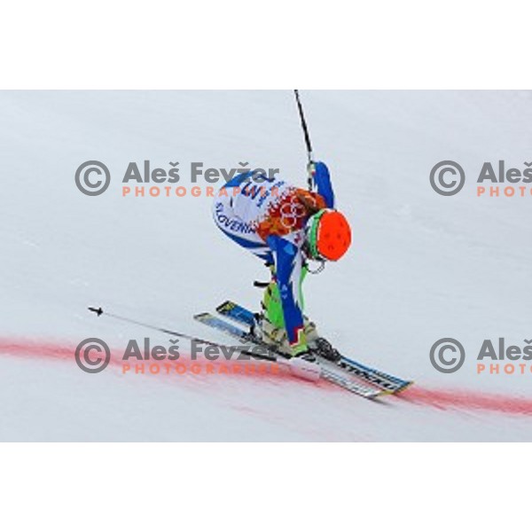 Marusa Ferk of Slovenia racing at Ladies Super Combined at Rosa Khutor Alpine Center , Sochi 2014 Winter Olympic Games on February 10, 2014