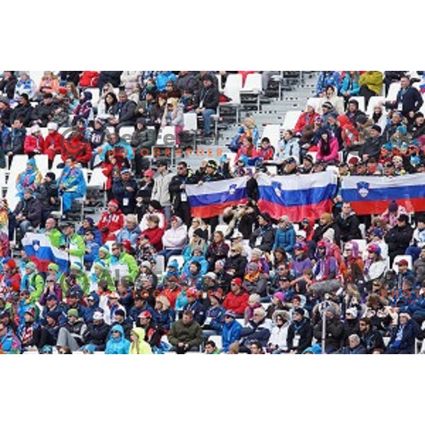 Fans of Slovenia cheering at Ladies Super Combined at Rosa Khutor Alpine Center , Sochi 2014 Winter Olympic Games on February 10, 2014