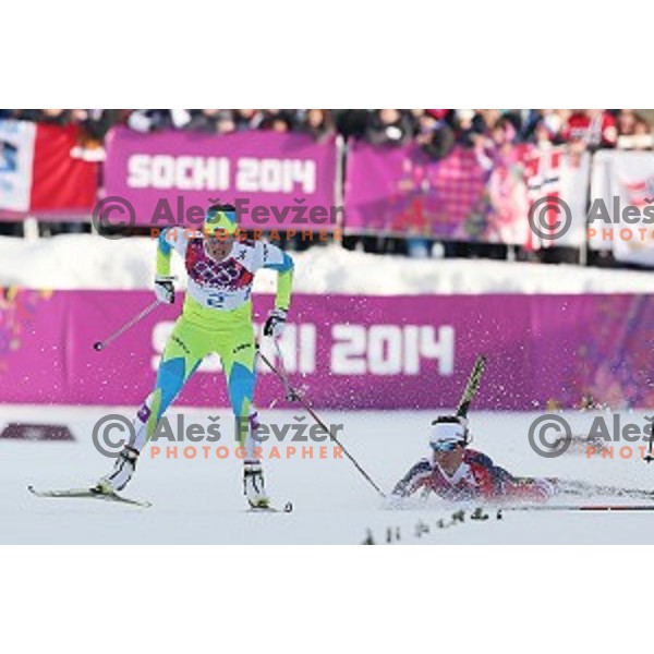 Katja Visnar of Slovenia arcing at Ladies Free Sprint, Sochi 2014 Winter Olympic Games on February 11, 2014