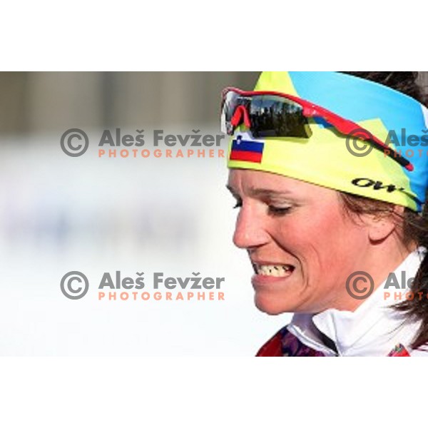 Katja Visnar of Slovenia arcing at Ladies Free Sprint, Sochi 2014 Winter Olympic Games on February 11, 2014