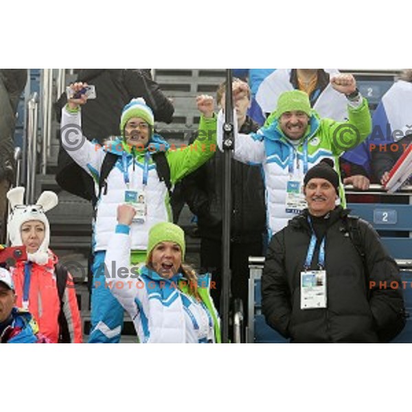 Teja Gregorin of Slovenia racing in Biathlon Women\'s 10 km Pursuit at Laura Cross-Country & Biathlon Center, Sochi 2014 Winter Olympic Games on February 11, 2014