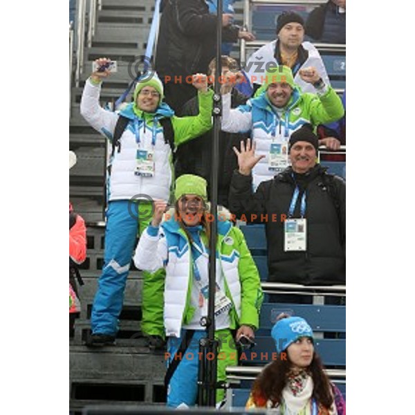 Teja Gregorin of Slovenia racing in Biathlon Women\'s 10 km Pursuit at Laura Cross-Country & Biathlon Center, Sochi 2014 Winter Olympic Games on February 11, 2014