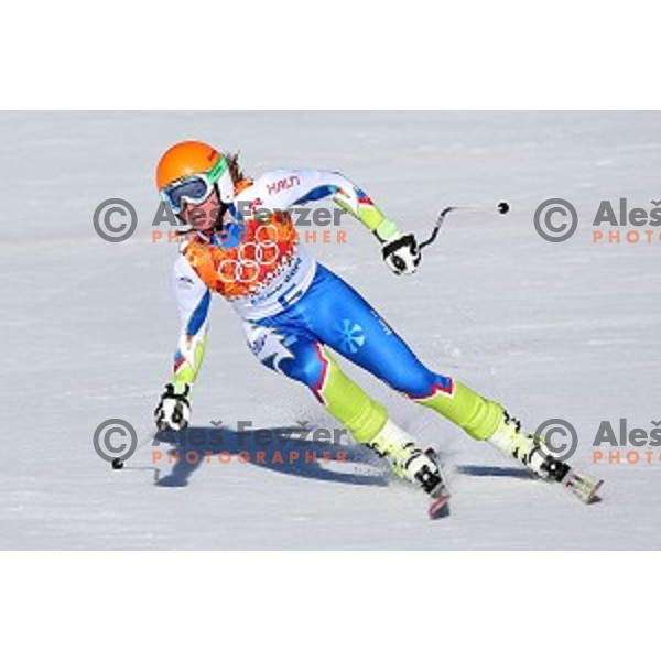 Marusa Ferk of Slovenia in the finish area of Ladies Downhill in Rosa Khutor Alpine Center , Sochi 2014 Winter Olympic Games on February 12, 2014