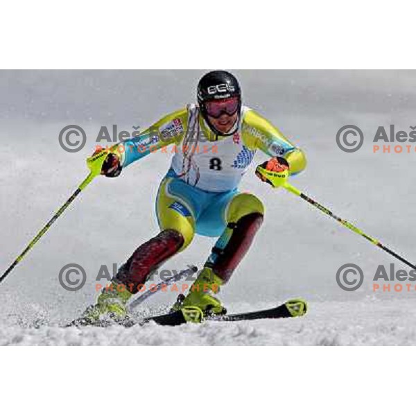 Mitja Dragsic at slalom race for Slovenian National Championship at Krvavec Ski Resort.Photo by Ales Fevzer 