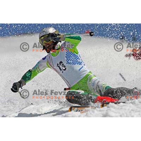 Miha Malus at slalom race for Slovenian National Championship at Krvavec Ski Resort.Photo by Ales Fevzer 