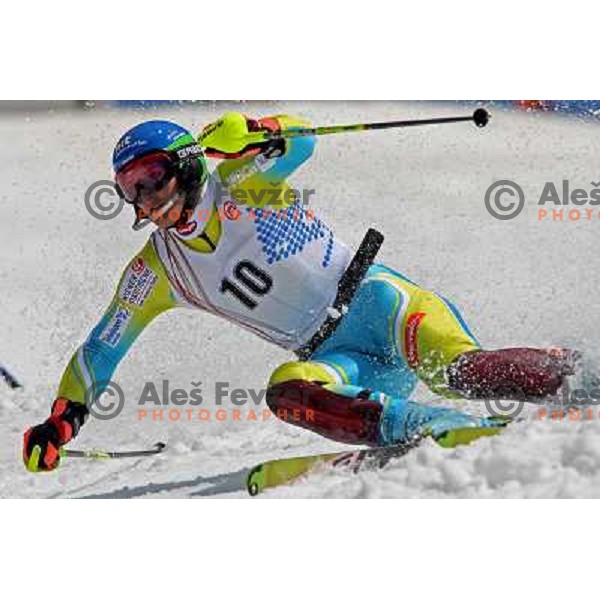 Andrej Sporn at slalom race for Slovenian National Championship at Krvavec Ski Resort.Photo by Ales Fevzer 