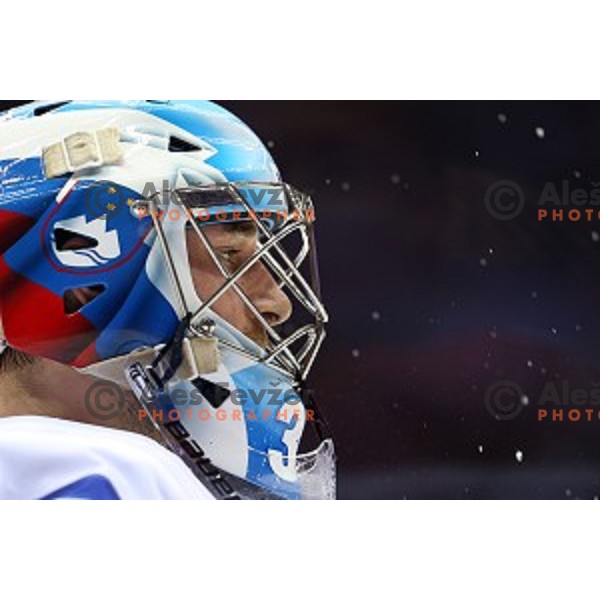 Robert Kristan of Slovenia in action during Preliminary round match Russia-Slovenia at Bolshoy Ice Dome, Sochi 2014 Winter Olympic games, Russia on February 13, 2014
