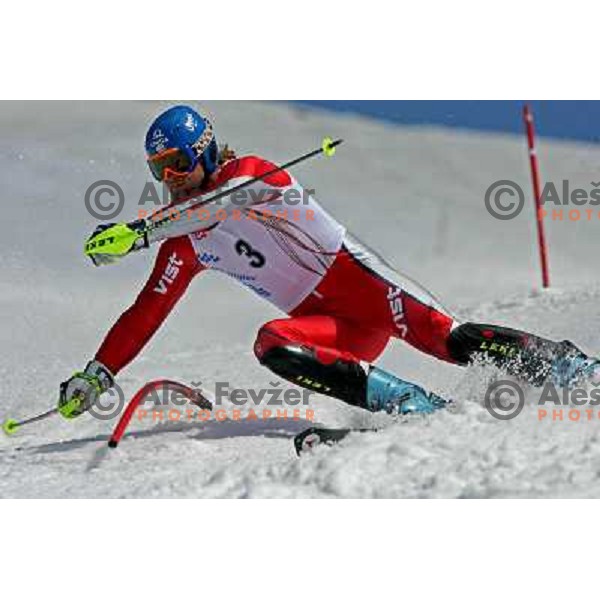 Filip Trejbal at slalom race for Slovenian National Championship at Krvavec Ski Resort.Photo by Ales Fevzer 