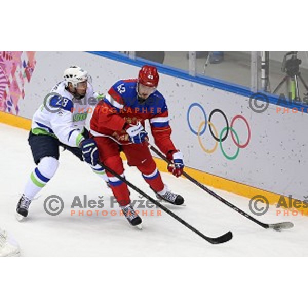 Ales Kranjc of Slovenia in action during Preliminary round match Russia-Slovenia at Bolshoy Ice Dome, Sochi 2014 Winter Olympic games, Russia on February 13, 2014
