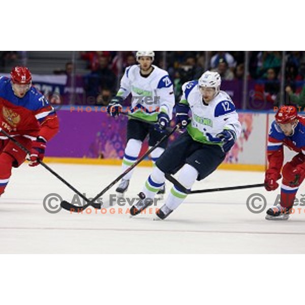 David Rodman of Slovenia in action during Preliminary round match Russia-Slovenia at Bolshoy Ice Dome, Sochi 2014 Winter Olympic games, Russia on February 13, 2014