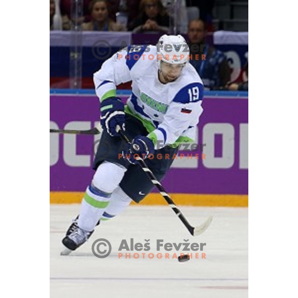 Ziga Pance of Slovenia in action during Preliminary round match Russia-Slovenia at Bolshoy Ice Dome, Sochi 2014 Winter Olympic games, Russia on February 13, 2014