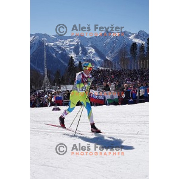 Barbara Jezersek of Slovenia racing in Ladies 10 km Classic in Laura Cross-Country and Biathlon Center, Sochi 2104 Winter Olympic Games, Russia on February 13, 2014