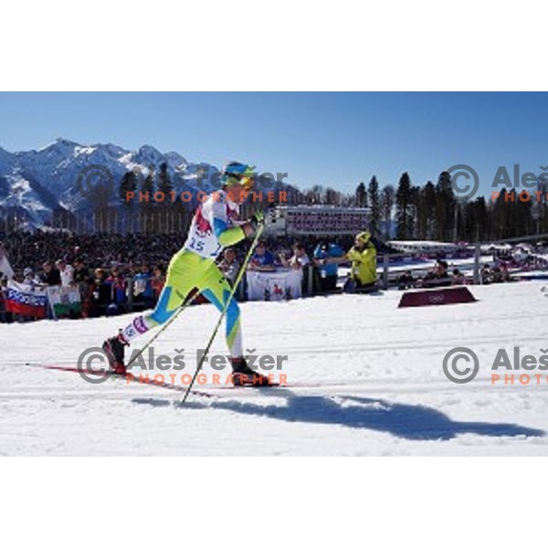 Barbara Jezersek of Slovenia racing in Ladies 10 km Classic in Laura Cross-Country and Biathlon Center, Sochi 2104 Winter Olympic Games, Russia on February 13, 2014