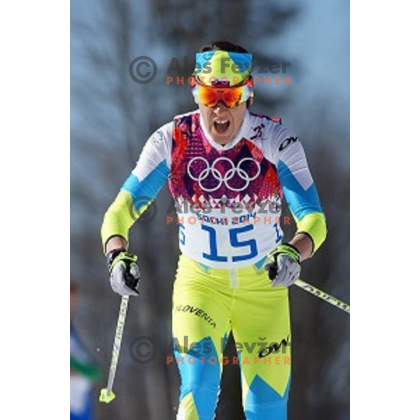Barbara Jezersek of Slovenia racing in Ladies 10 km Classic in Laura Cross-Country and Biathlon Center, Sochi 2104 Winter Olympic Games, Russia on February 13, 2014