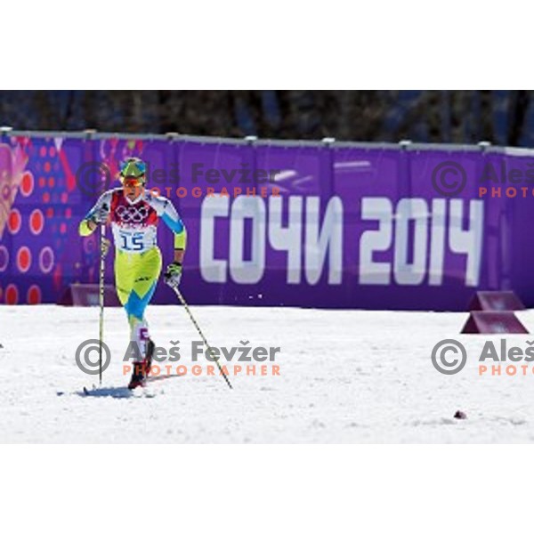 Barbara Jezersek of Slovenia racing in Ladies 10 km Classic in Laura Cross-Country and Biathlon Center, Sochi 2104 Winter Olympic Games, Russia on February 13, 2014