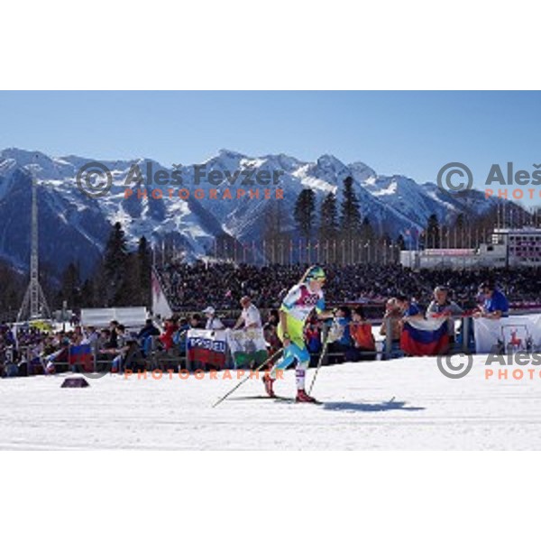 Nika Razinger of Slovenia racing in Ladies 10 km Classic in Laura Cross-Country and Biathlon Center, Sochi 2104 Winter Olympic Games, Russia on February 13, 2014