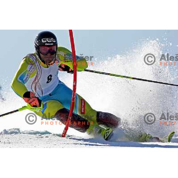 Mitja Dragsic at slalom race for Slovenian National Championship at Krvavec Ski Resort.Photo by Ales Fevzer 