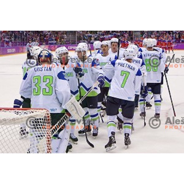 Robert Kristan of Slovenia in action during Preliminary round match Russia-Slovenia at Bolshoy Ice Dome, Sochi 2014 Winter Olympic games, Russia on February 13, 2014