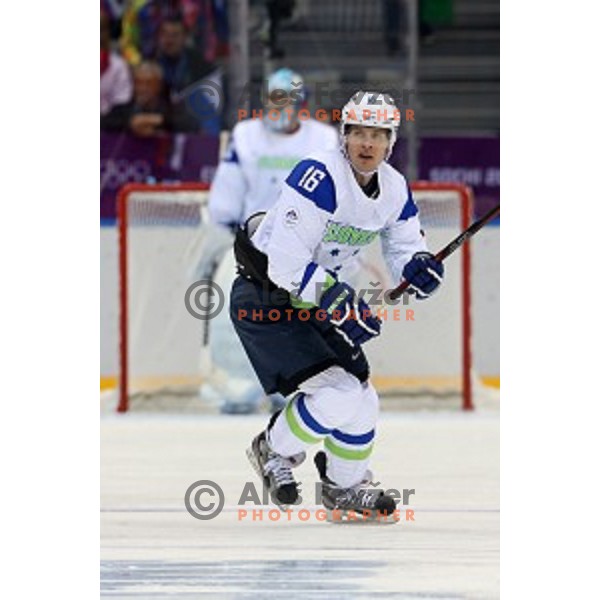 Ales Music of Slovenia in action during Preliminary round match Russia-Slovenia at Bolshoy Ice Dome, Sochi 2014 Winter Olympic games, Russia on February 13, 2014