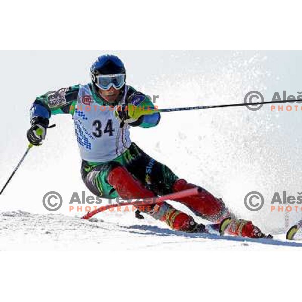 Matic Medvesek at slalom race for Slovenian National Championship at Krvavec Ski Resort.Photo by Ales Fevzer 