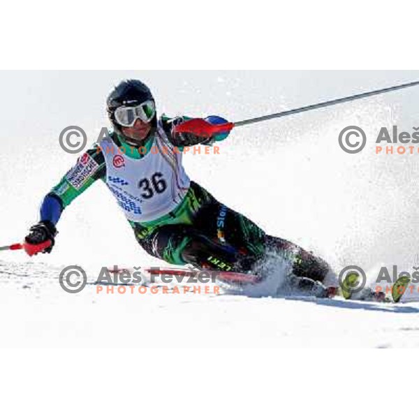 Filip Mlinsek at slalom race for Slovenian National Championship at Krvavec Ski Resort.Photo by Ales Fevzer 