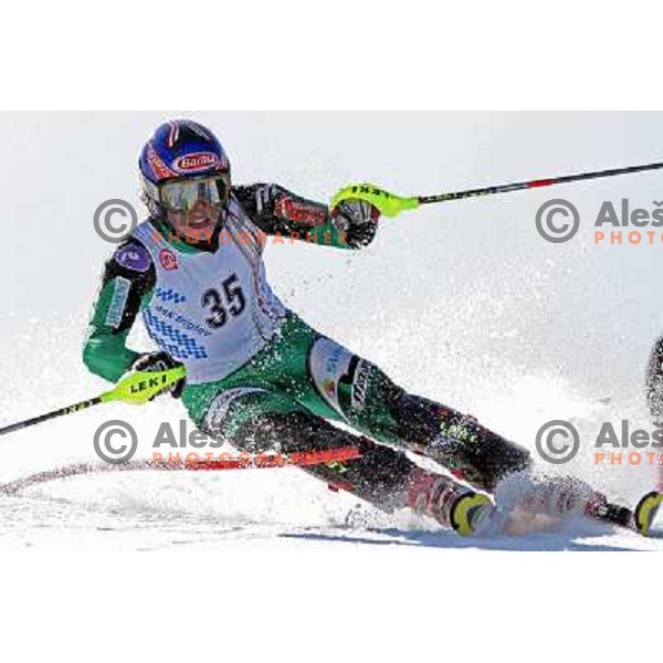 Tomaz Velecic at slalom race for Slovenian National Championship at Krvavec Ski Resort.Photo by Ales Fevzer 