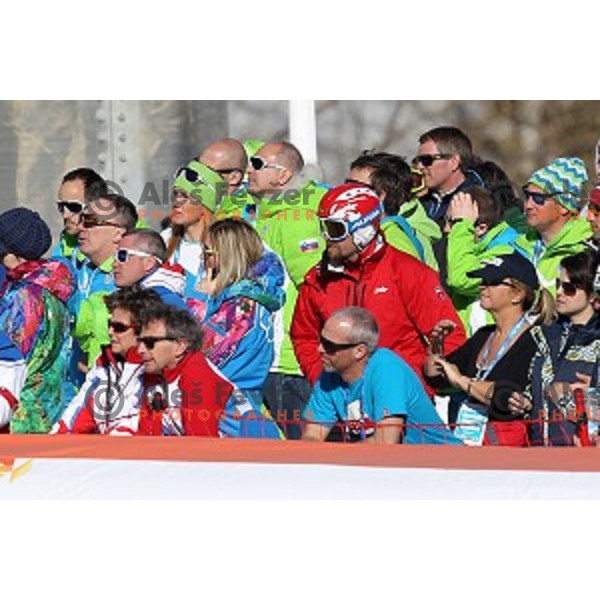 Petra Majdic in the finish area of Ladies Super-G in Rosa Khutor Alpine Center , Sochi 2014 Winter Olympic Games on February 15, 2014