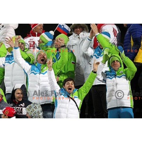 Fans of Slovenia at Ski jumping on Large Hill at Sochi 2014 Winter Olympic Games in RusSki Gorki Ski Jumping Center, Russia on February 15, 2014