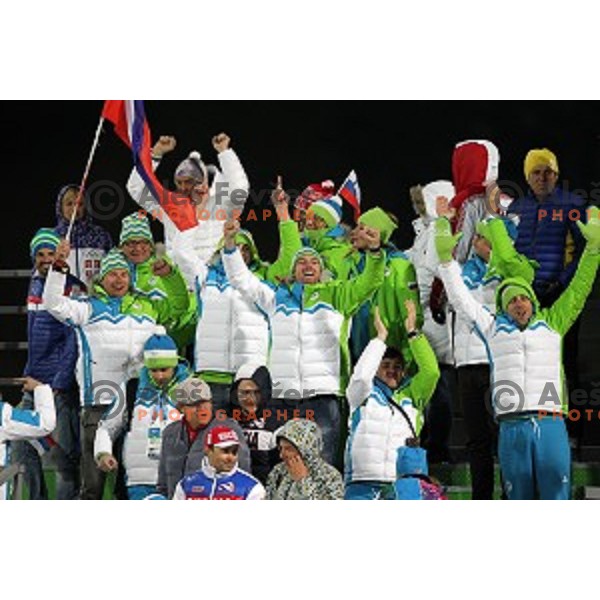 Fans of Slovenia at Ski jumping on Large Hill at Sochi 2014 Winter Olympic Games in RusSki Gorki Ski Jumping Center, Russia on February 15, 2014