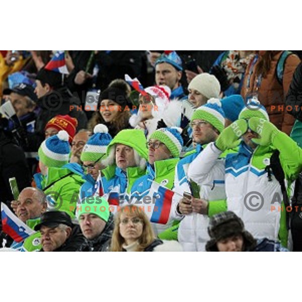 Slovenia supporters at Ski jumping on Large Hill at Sochi 2014 Winter Olympic Games in RusSki Gorki Ski Jumping Center, Russia on February 15, 2014