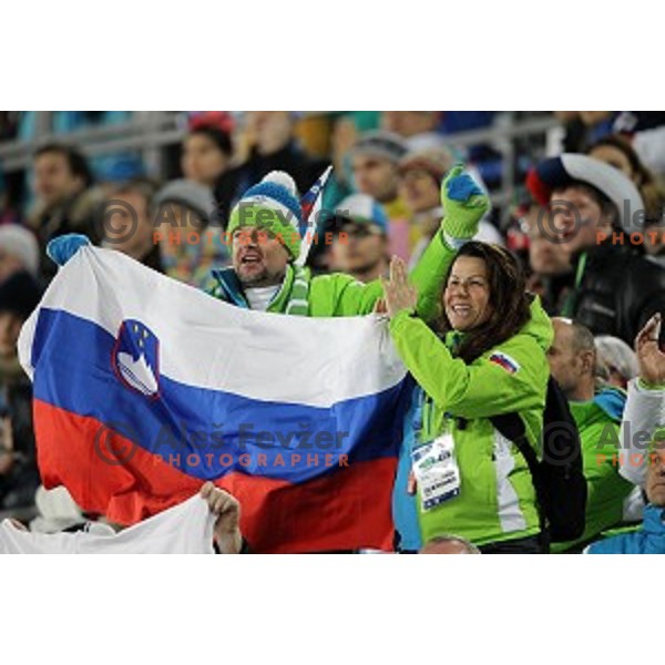 Slovenia supporters at Ski jumping on Large Hill at Sochi 2014 Winter Olympic Games in RusSki Gorki Ski Jumping Center, Russia on February 15, 2014
