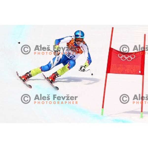 Klemen Kosi of Slovenia during Men\'s Super-G at Rosa Khutor Alpine Center , Sochi 2014 Winter Olympic Games on February 16, 2014