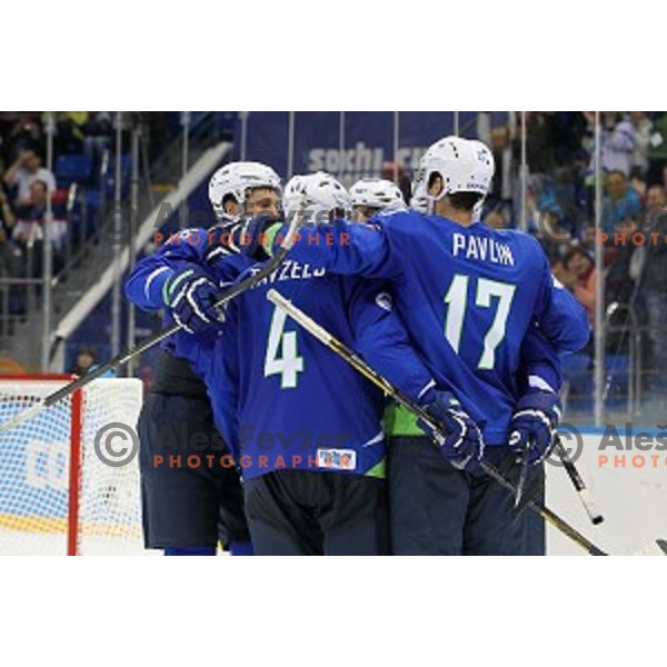 Players of Slovenia in action during Preliminary round match Slovenia-USA at Shayba Arena, Sochi 2014 Winter Olympic games, Russia on February 16, 2014