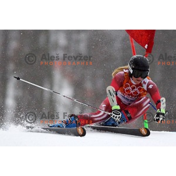 Lara Gut (SUI) skiing in the first run of Ladies Giant Slalom at Rosa Khutor Alpine Center , Sochi 2014 Winter Olympic Games, Russia on February 18, 2014