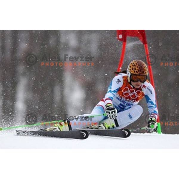 Anna Fenninger (AUT) skiing in the first run of Ladies Giant Slalom at Rosa Khutor Alpine Center , Sochi 2014 Winter Olympic Games, Russia on February 18, 2014