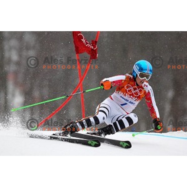 Viktoria Rebensburg (GER) skiing in the first run of Ladies Giant Slalom at Rosa Khutor Alpine Center , Sochi 2014 Winter Olympic Games, Russia on February 18, 2014