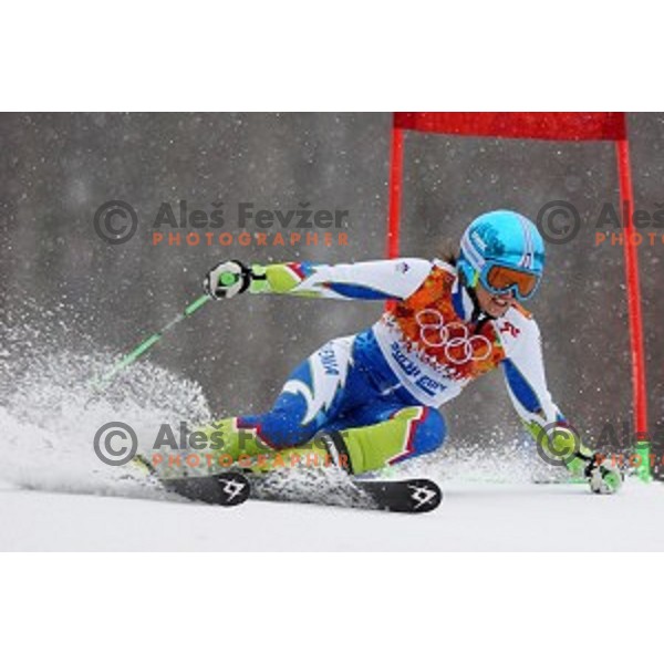 Katarina Lavtar (SLO) skiing in the first run of Ladies Giant Slalom at Rosa Khutor Alpine Center , Sochi 2014 Winter Olympic Games, Russia on February 18, 2014