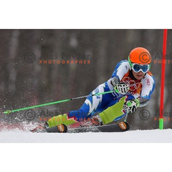 Ilka Stuhec (SLO) skiing in the first run of Ladies Giant Slalom at Rosa Khutor Alpine Center , Sochi 2014 Winter Olympic Games, Russia on February 18, 2014