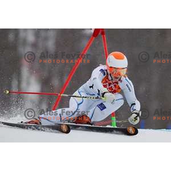Jessica Lindell-Vikarby (SWE) skiing in the first run of Ladies Giant Slalom at Rosa Khutor Alpine Center , Sochi 2014 Winter Olympic Games, Russia on February 18, 2014
