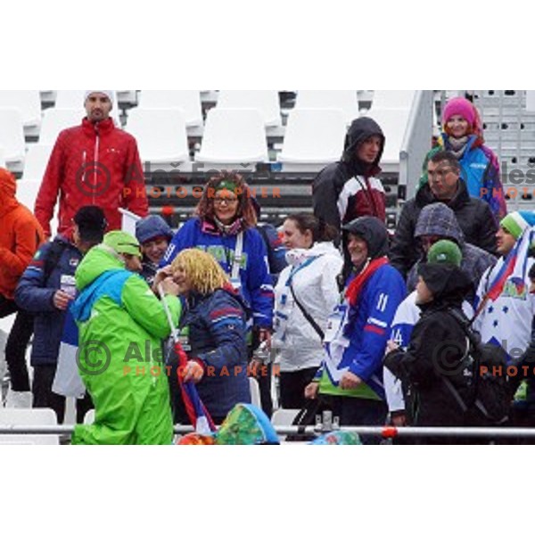 Andrea Massi and fans celebrate Tina Maze\'s Olympic gold medal in Ladies Giant Slalom in Rosa Khutor Alpine Center , Sochi 2014 Winter Olympic Games on February 18, 2014